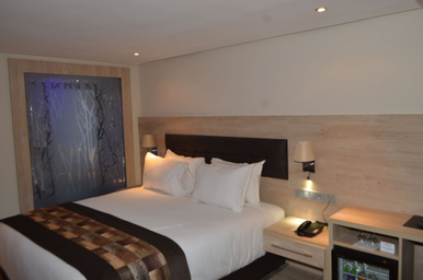 Room with Queen or Other Beds