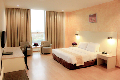 Kamar Deluks King - Pemandangan Kota