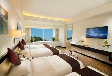 Double Family Room - Mountain View