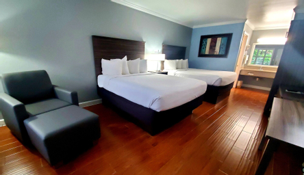 Kamar Standard - Pemandangan Kota
