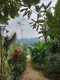 Exterior & Views 4, Omah Hanoman Turu By Kebun Hanoman, Karanganyar
