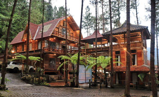 Guci Forest - Best Deals Promo