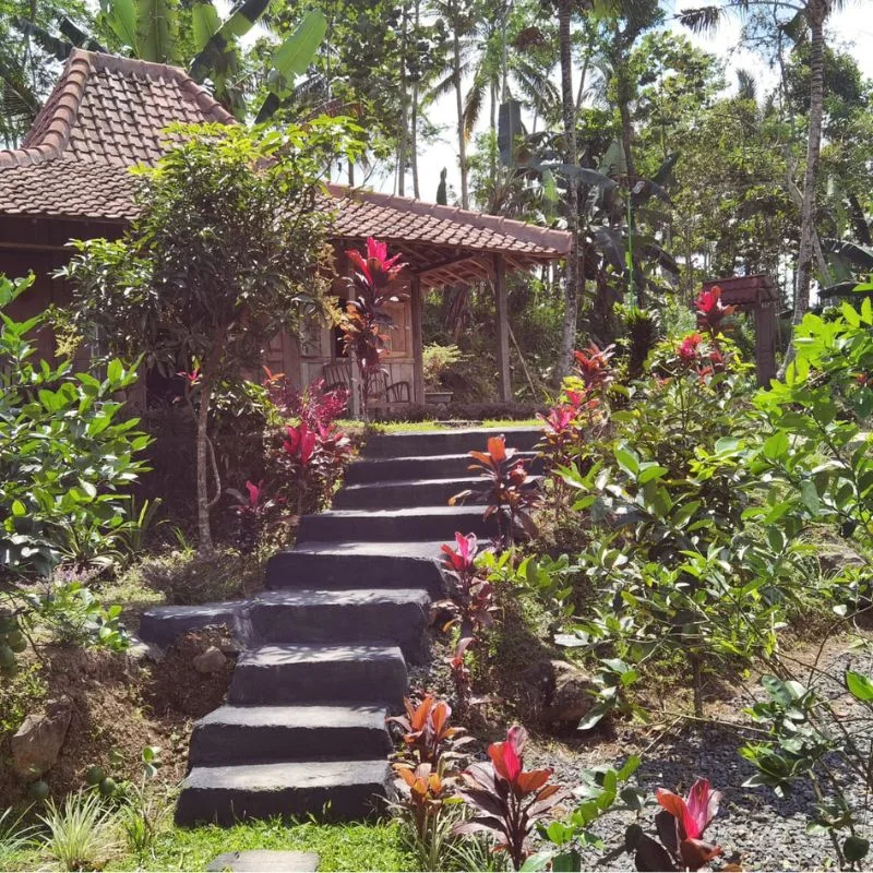 Others 4, Homestay Ijen Lemonhouse, Banyuwangi