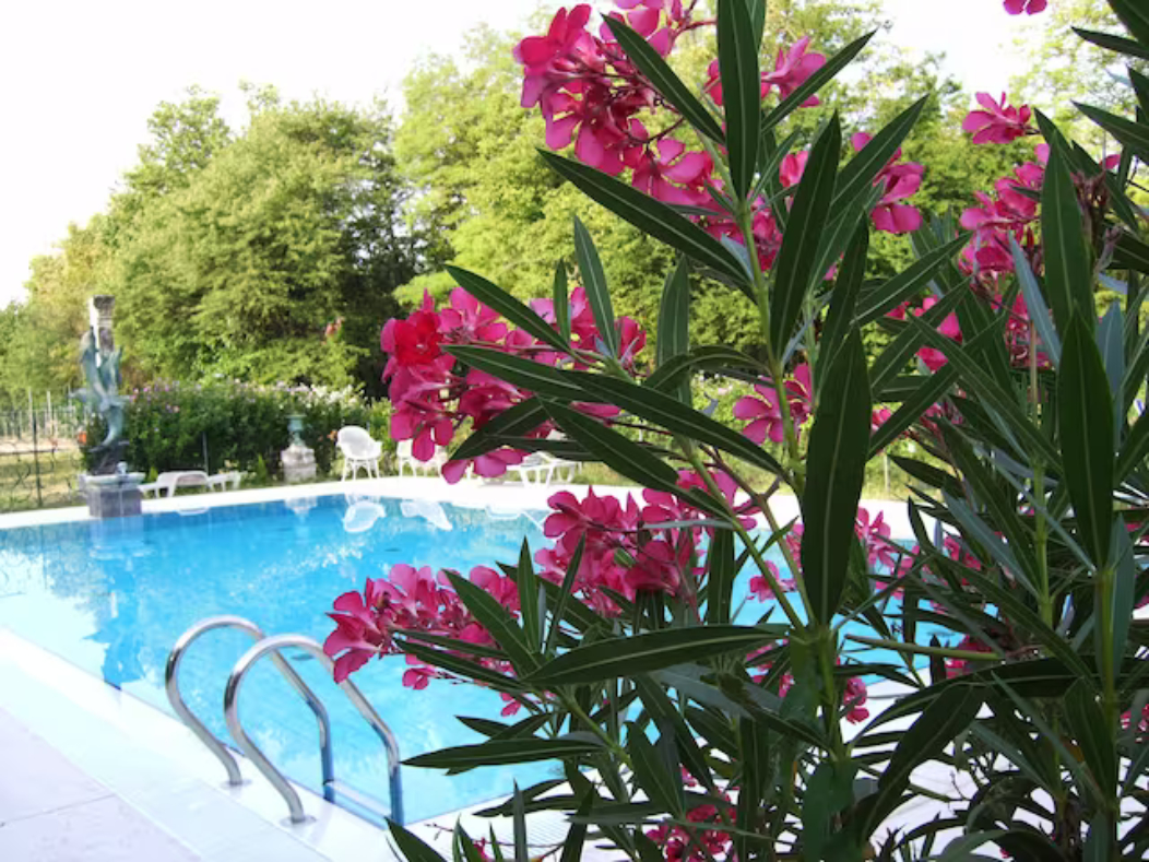 Sport & Beauty, Villa Navagero Erizzo - Ca' Rocchetto 2, Treviso