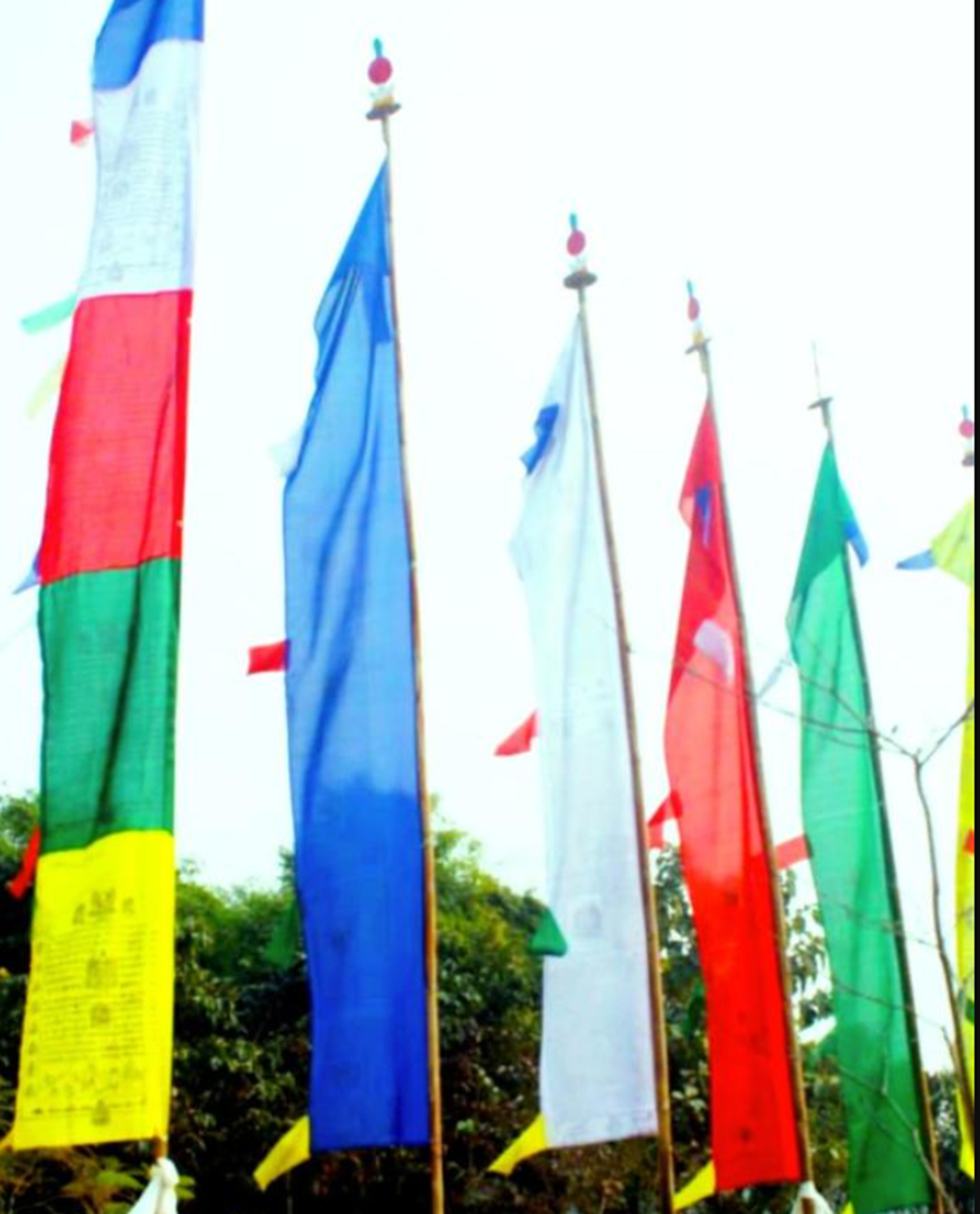 Others 5, Krishna Farms and Village Resort, Darjiling