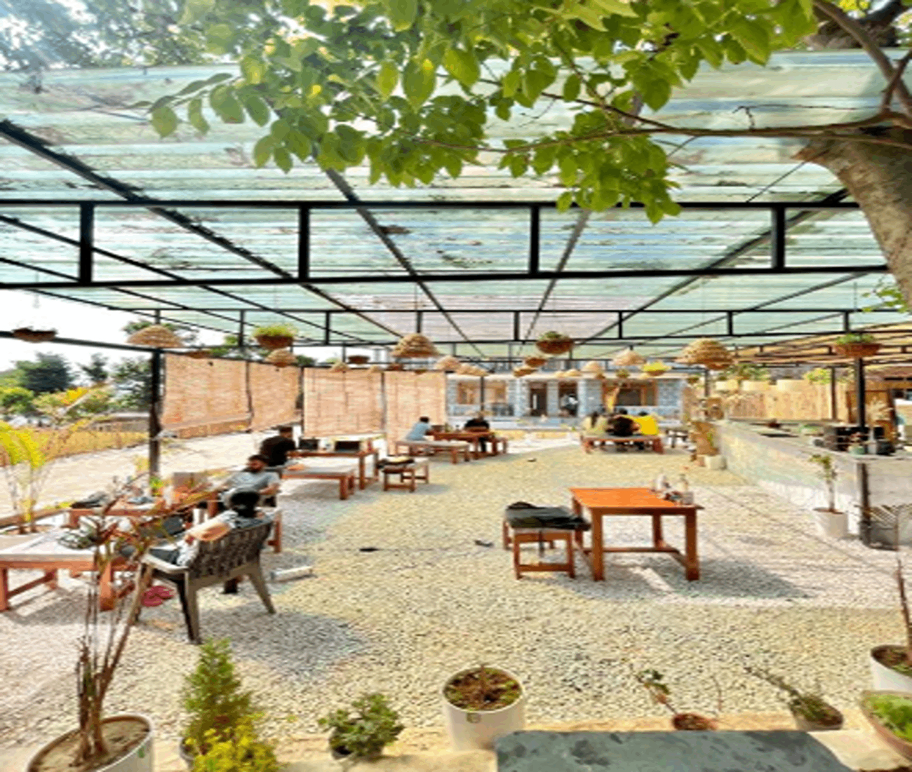 Food & Drinks 4, TLO - The Life Outdoor, Bir, Kangra