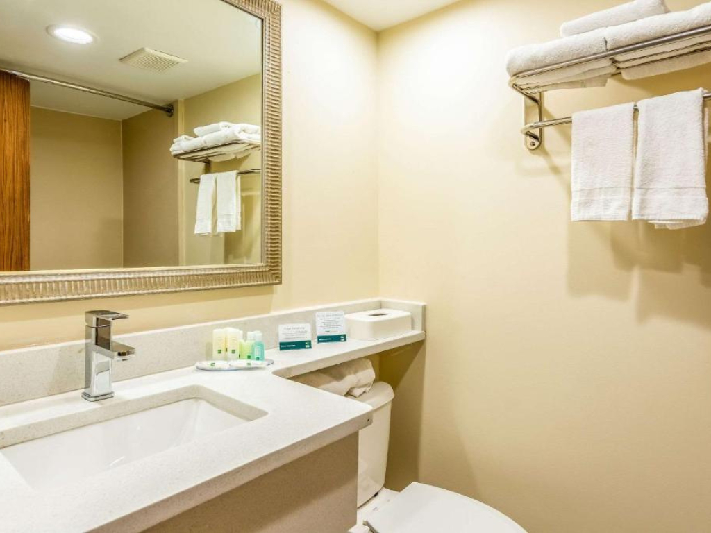 Bathroom 4, Hermitage Hotel Richmond Virginia, Richmond