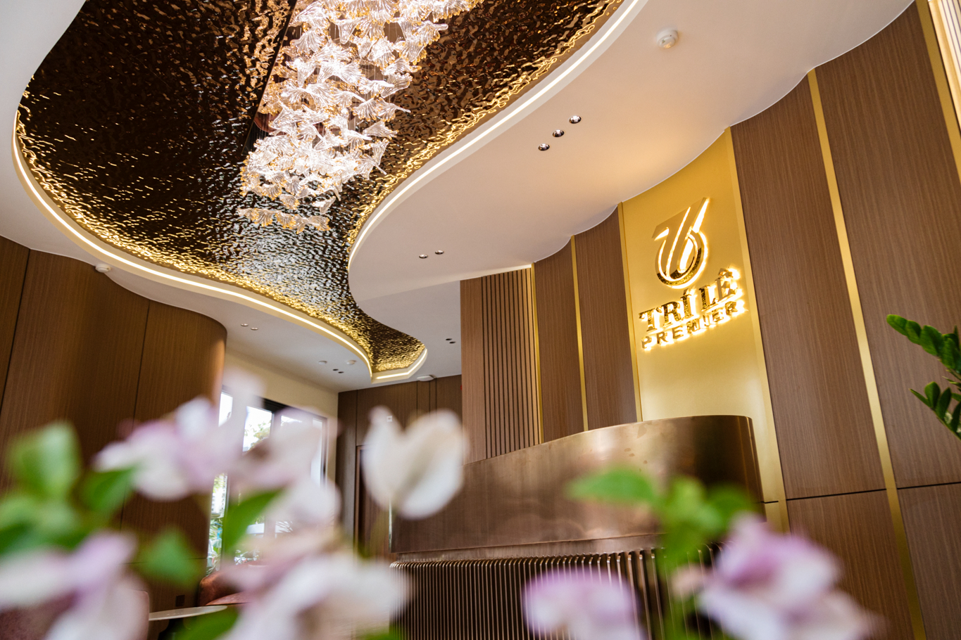 Others 4, Hotel Trí Lê PREMIER, Cao Lanh