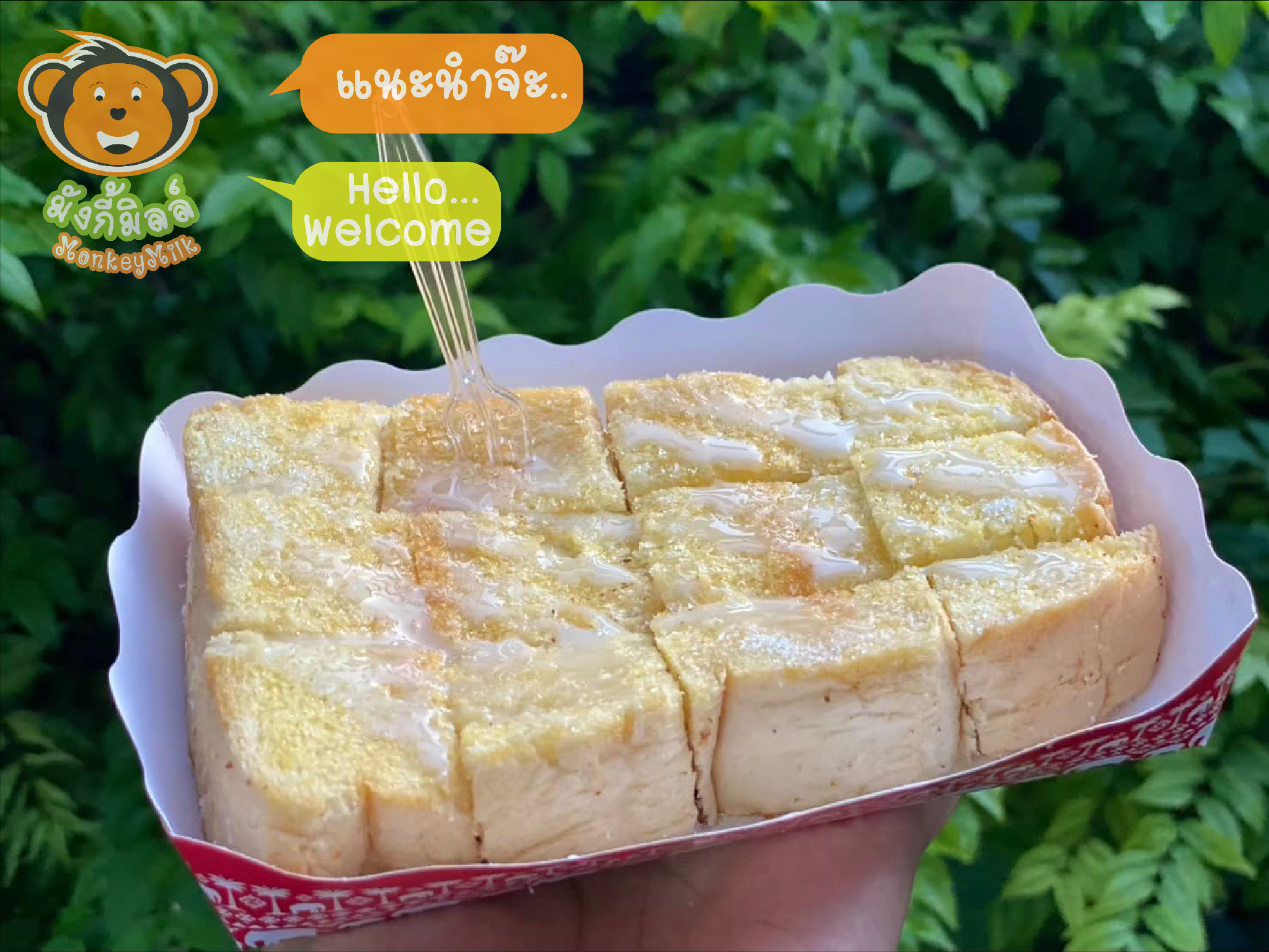 Food & Drinks 3, Monkey Cottage @ Phetchabun, Muang Phetchabun