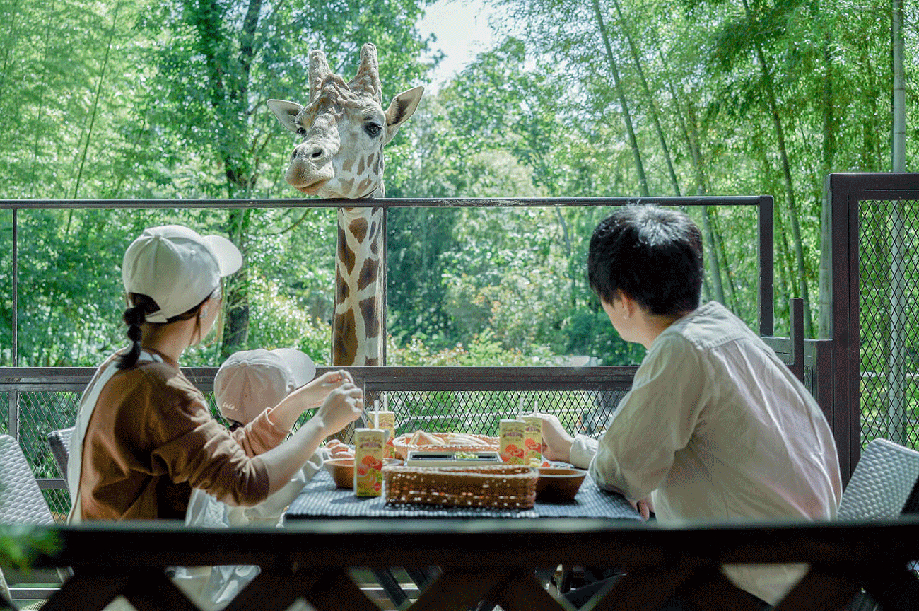 Food & Drinks 3, THE BAMBOO FOREST, Ichihara