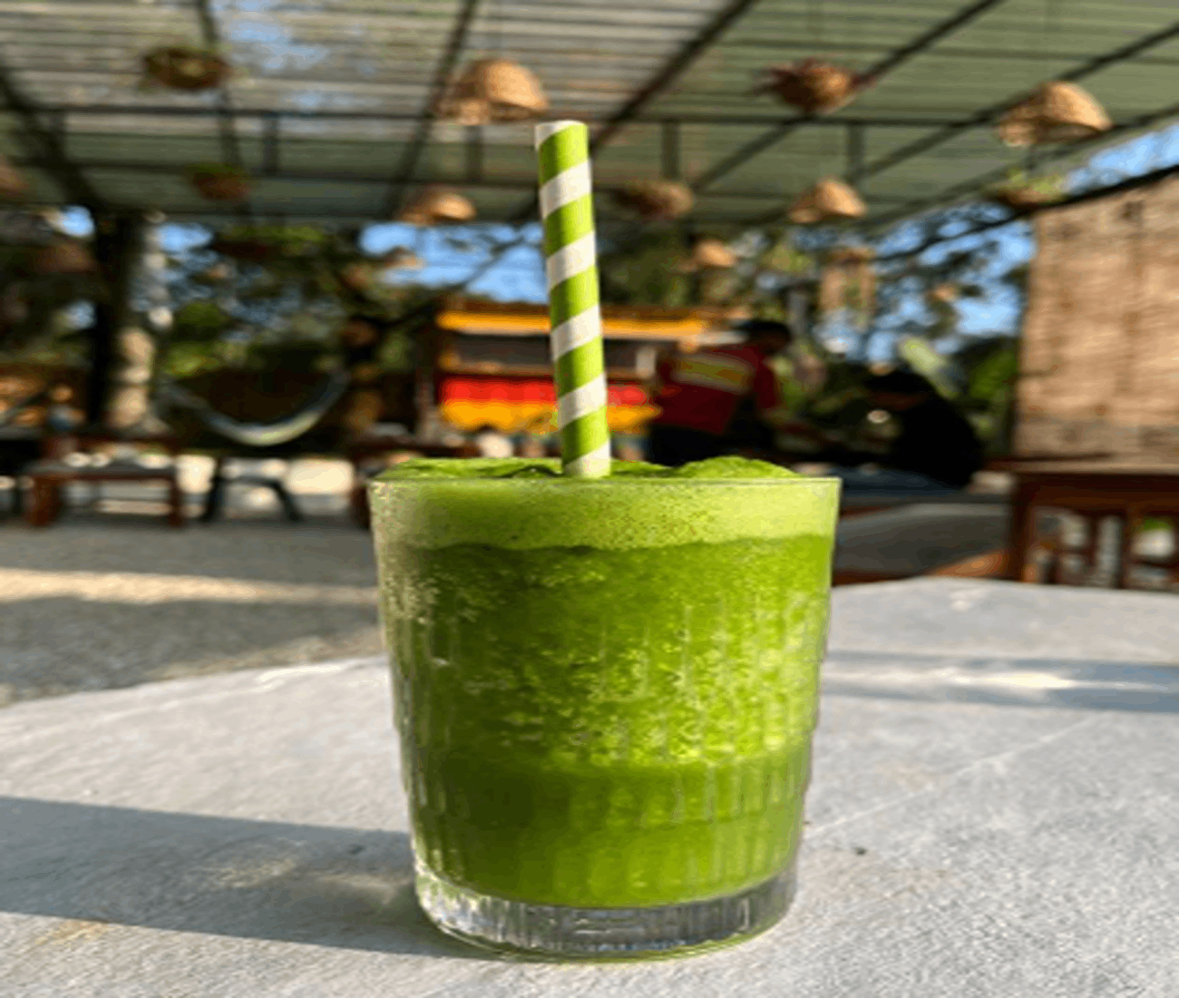 Food & Drinks 5, TLO - The Life Outdoor, Bir, Kangra