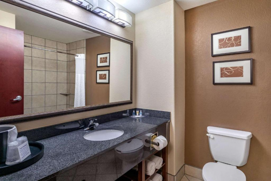 Bathroom 3, Comfort Suites Ennis TX, Ellis