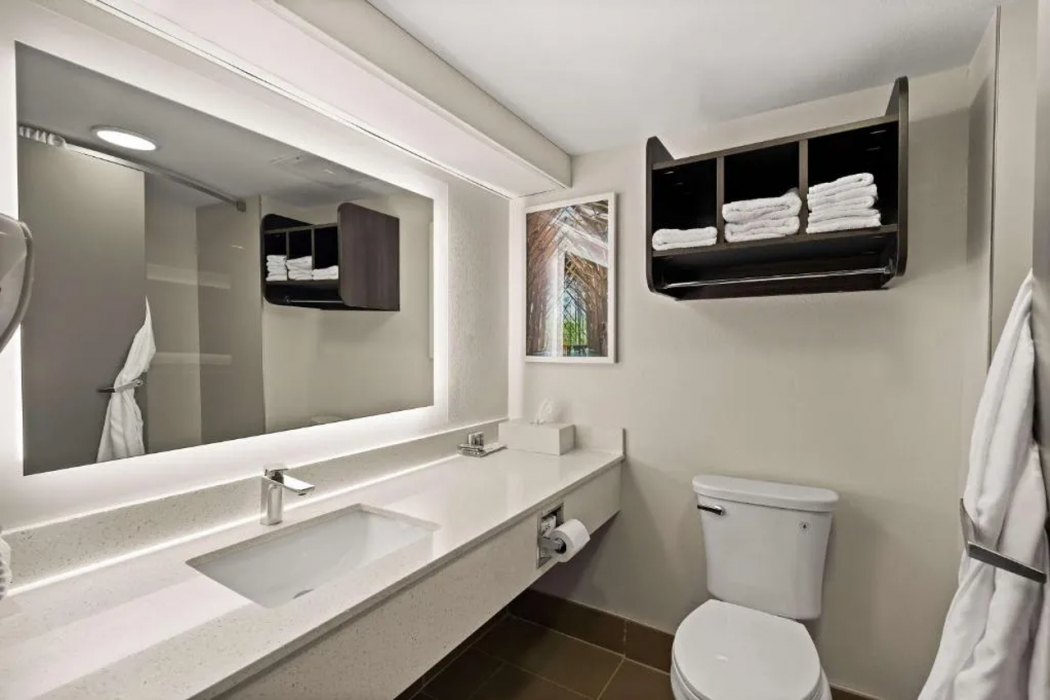 Bathroom 4, Best Western Shackleford , Pulaski