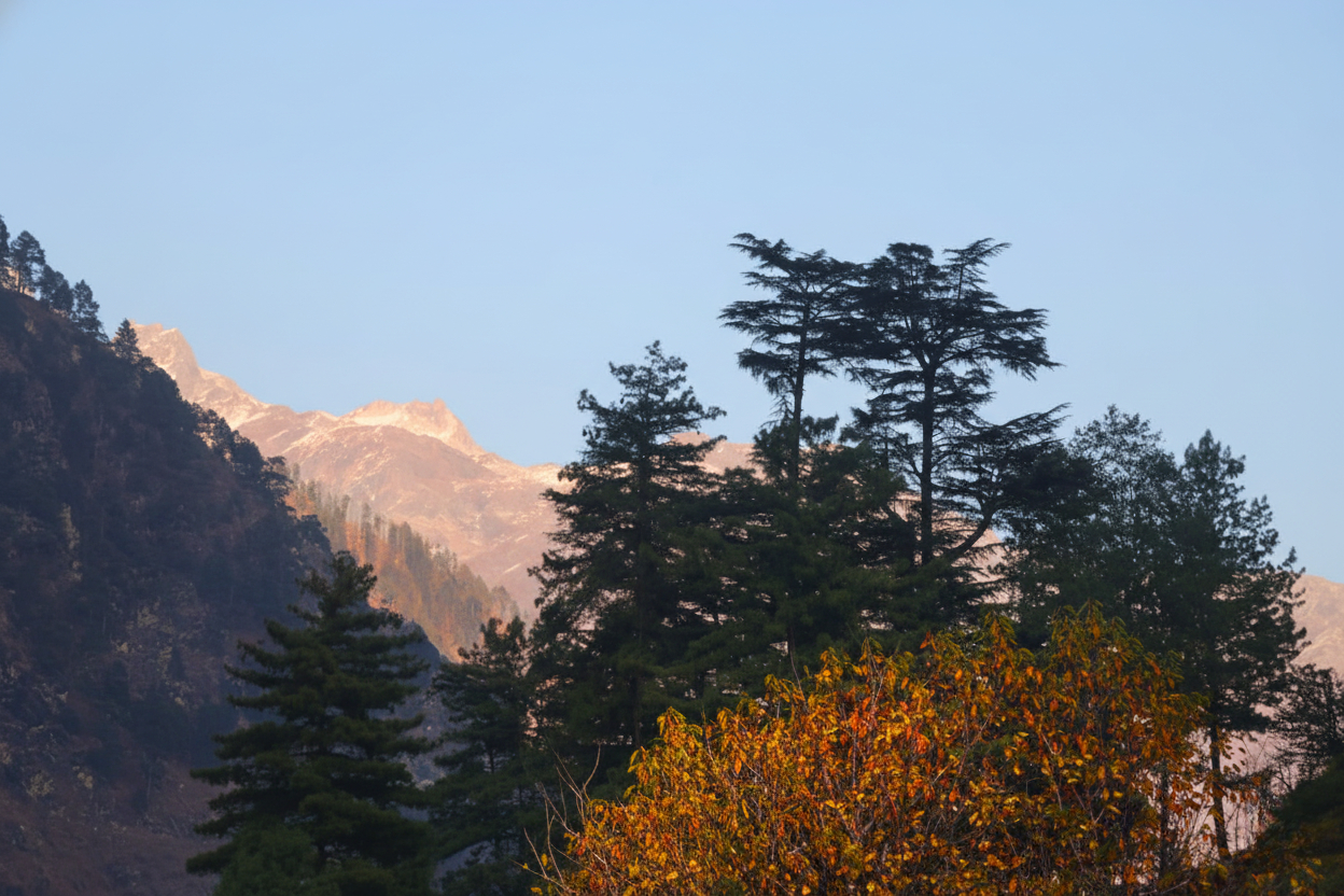 3, SnugBug Kasol, Kullu