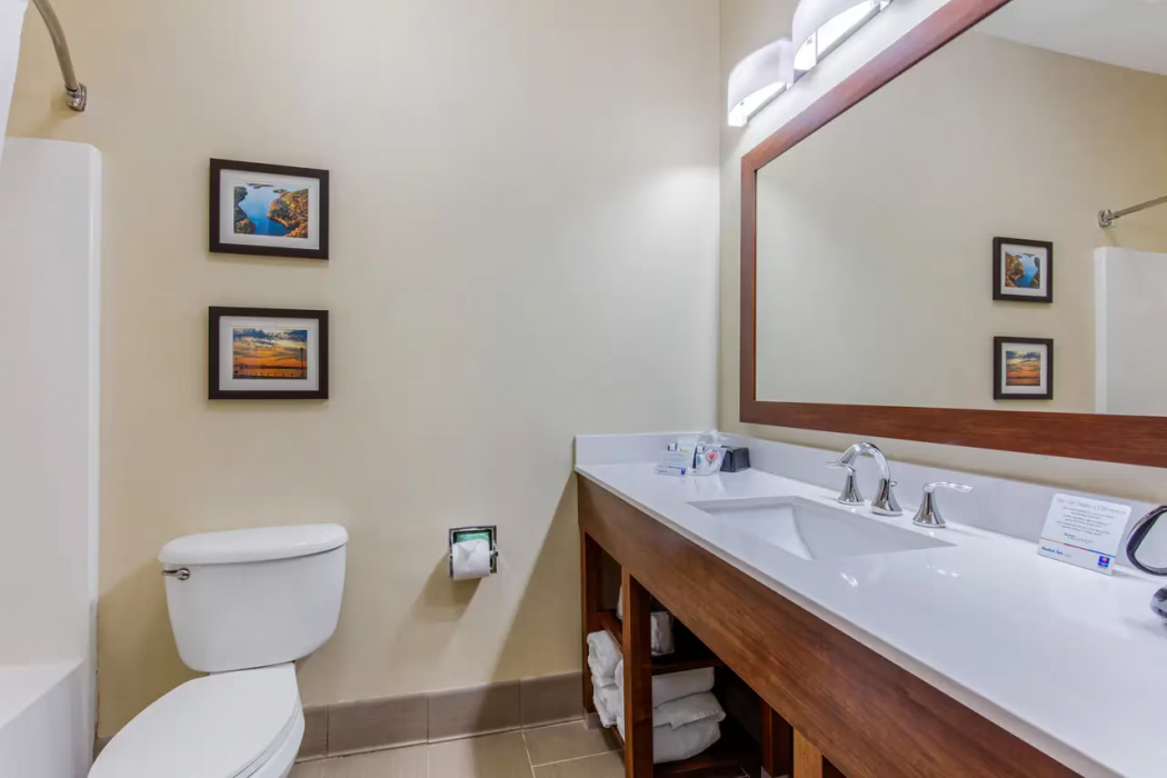 Bathroom 3, Comfort Inn and Suites McComb MS, Pike