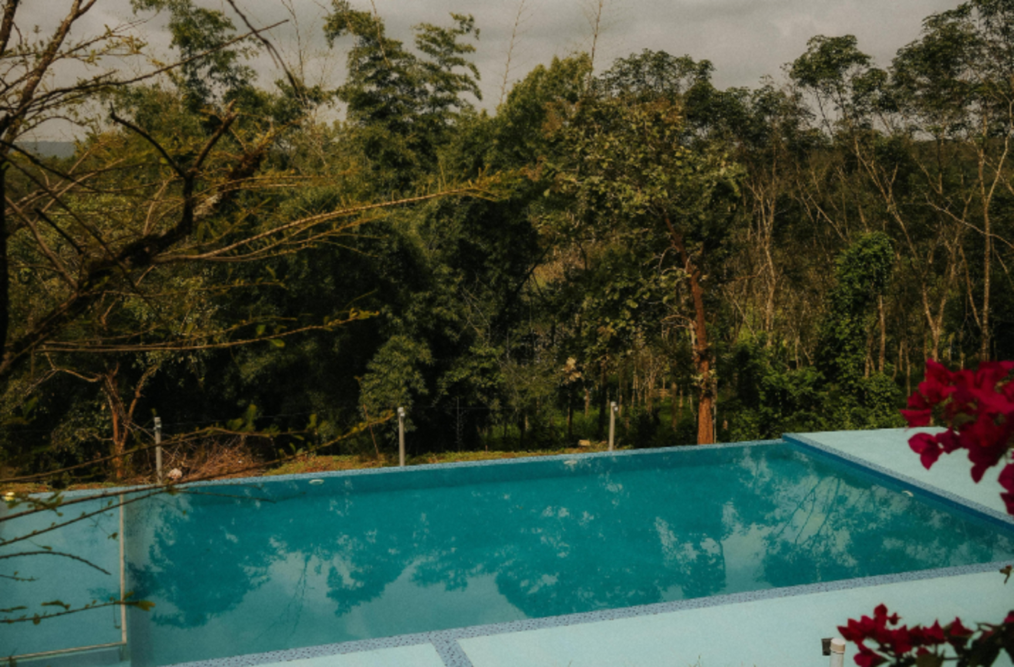 Sport & Beauty 4, Misty Night Jungleside Wayanad Pool Resort, Wayanad
