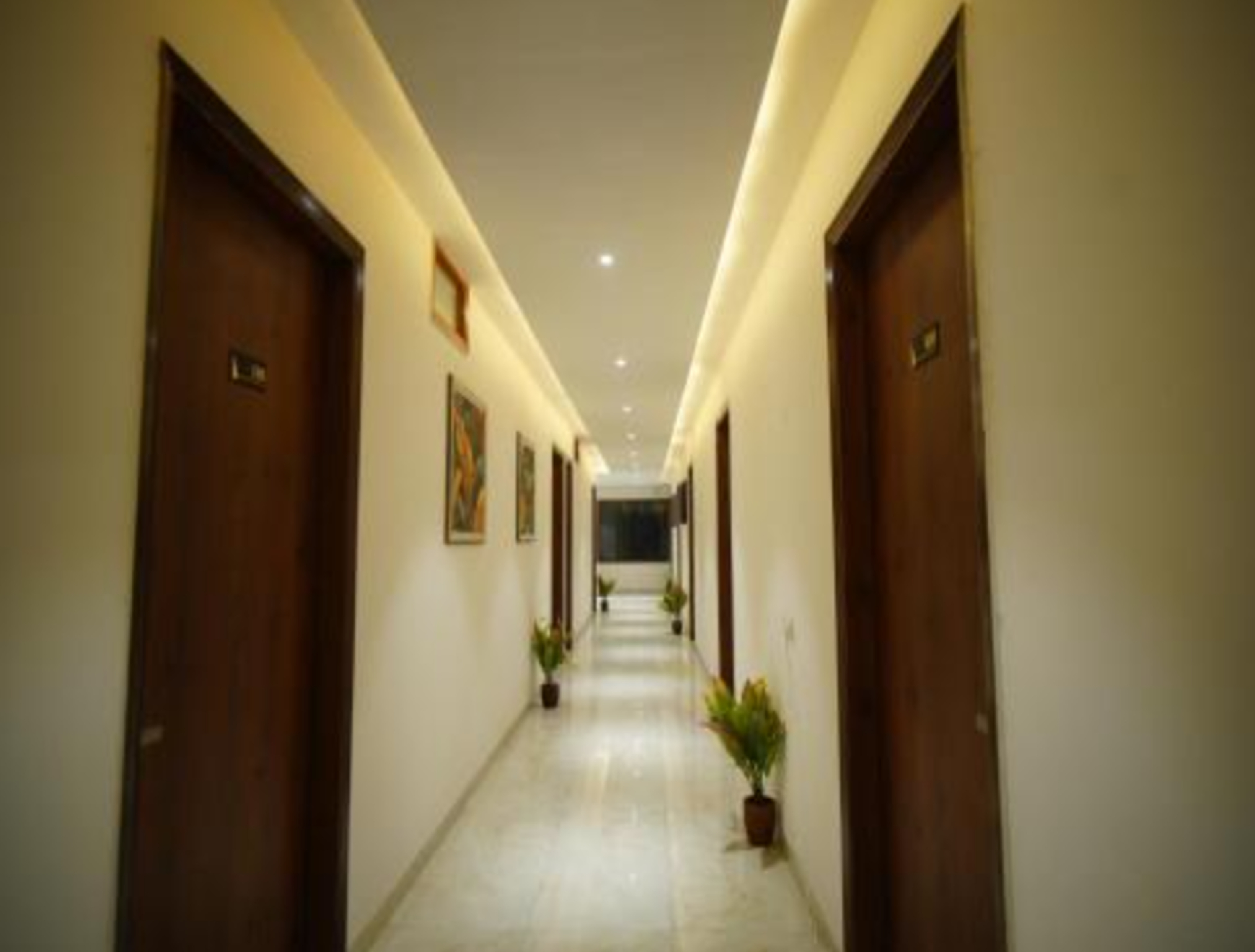 Interior view 3, Hotel Leaf Farm Ludhiana, Ludhiana