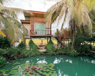 Others 5, Tung Bed and Breakfast (Tung Homestay), Muang Nan