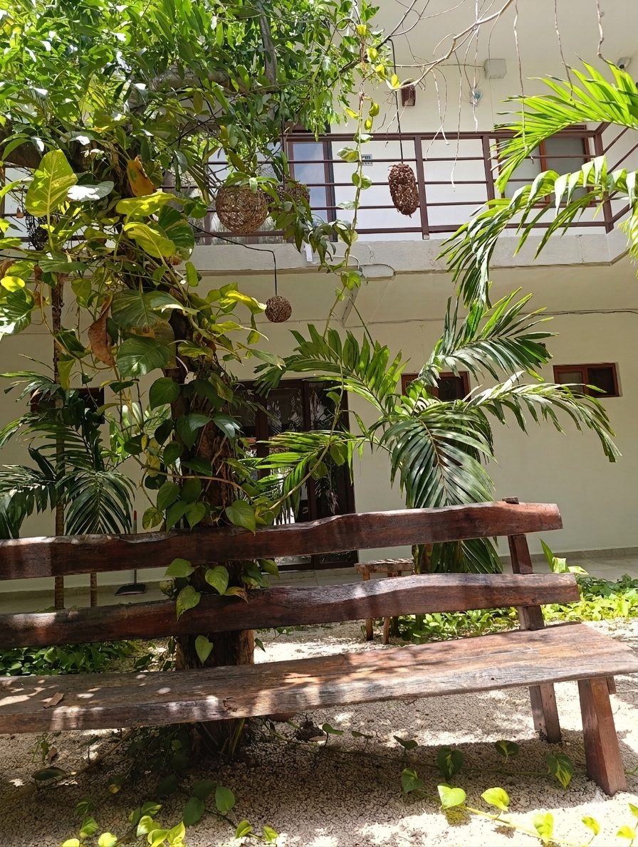 Garden 5, Hotel Centrico Tulum, Cozumel