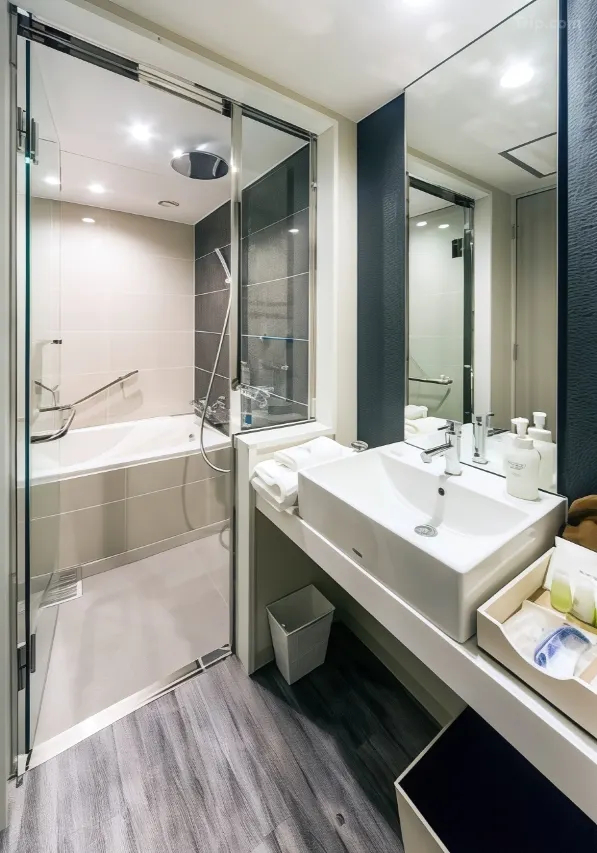 Bathroom 3, Daiwa Roynet Hotel Ginza, Chūō