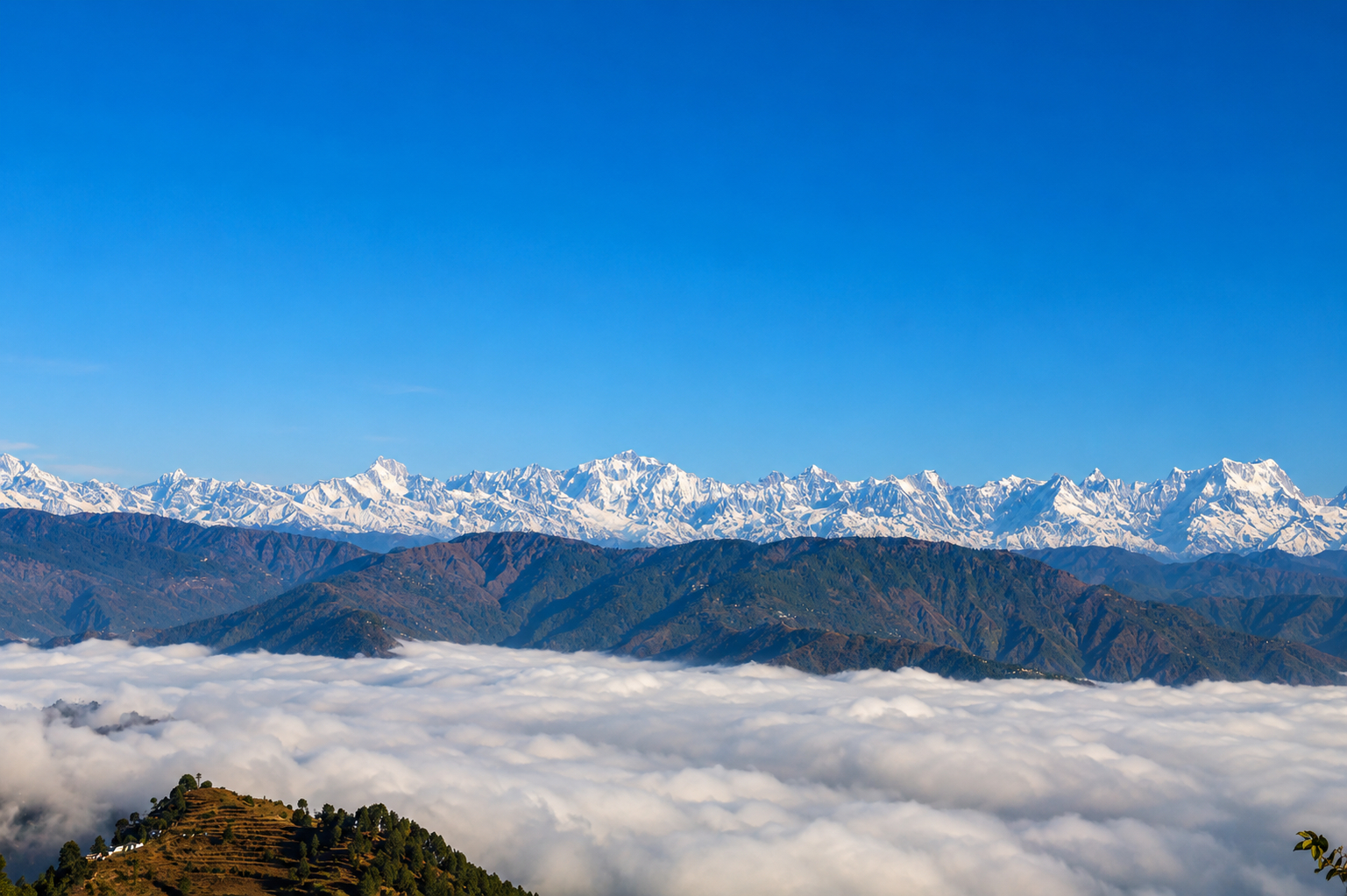View 5, Hotel Hill Top Forest Palace, Garhwal