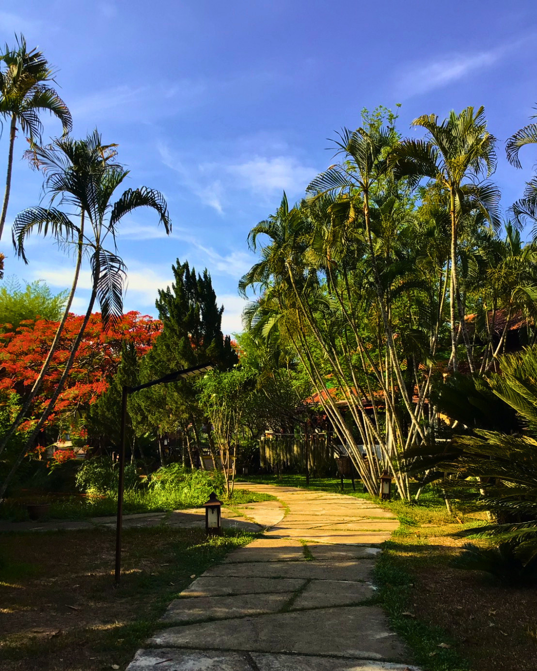 Public Area 2, Pai Hotsprings Spa Resort, Pai