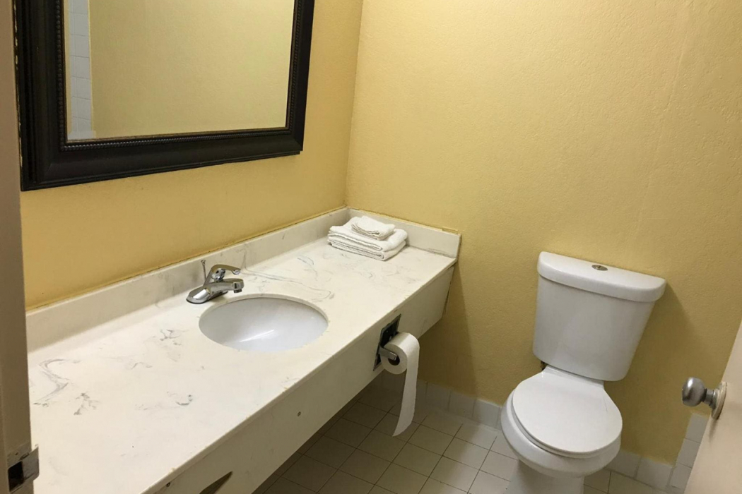 Bathroom, Rodeway Inn Fort Wayne near Glenbrook Square, Allen