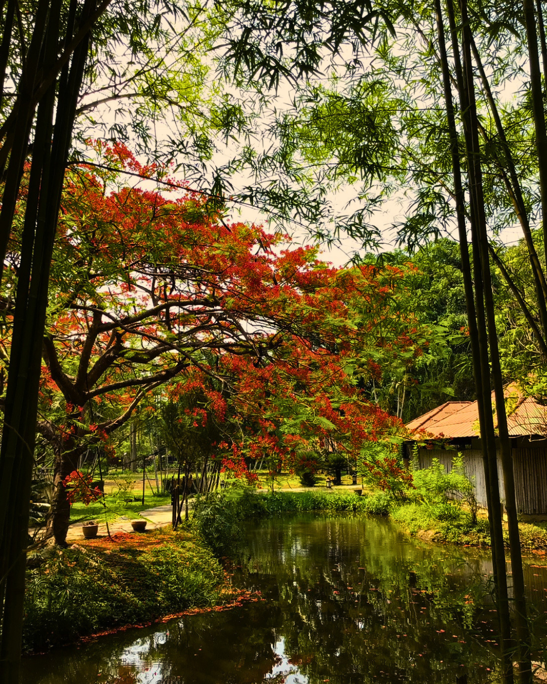 Public Area 2, Pai Hotsprings Spa Resort, Pai
