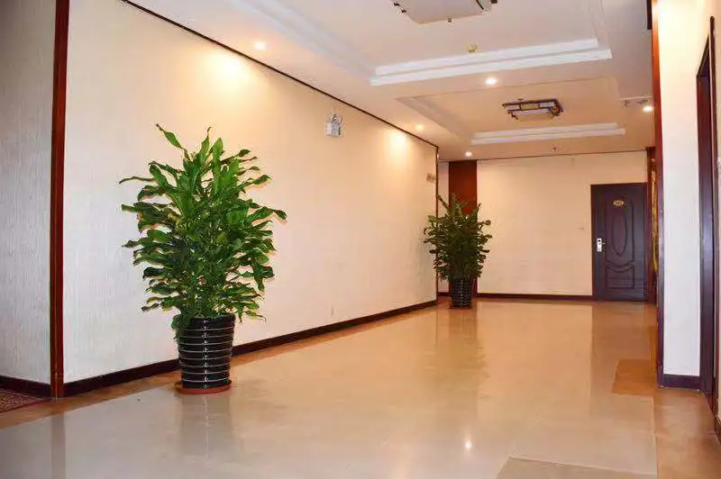 Others 5, Taimei, Dongguan