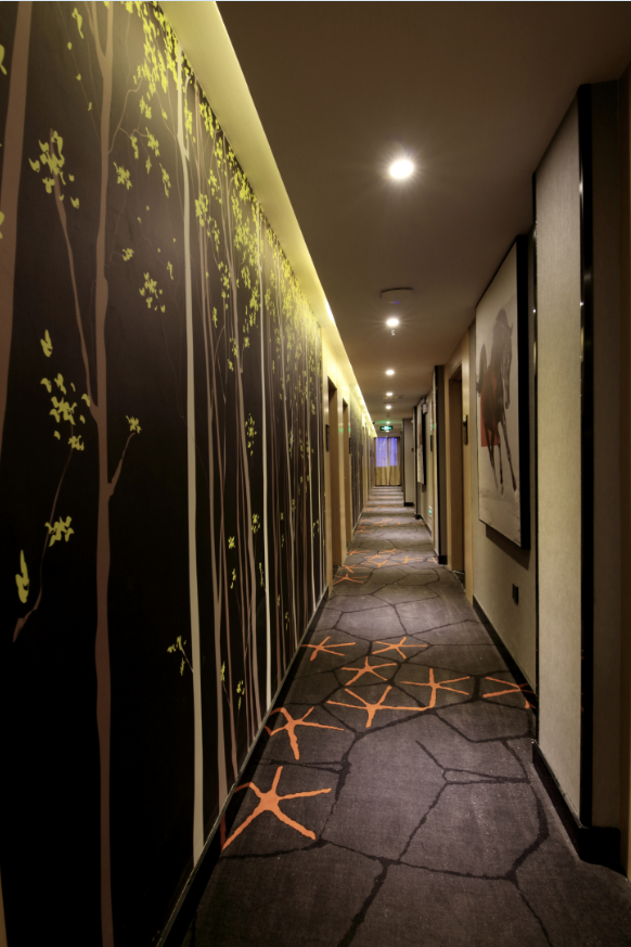 Others 4, Junyi Hotel (Shanghai Packaging City), Shanghai