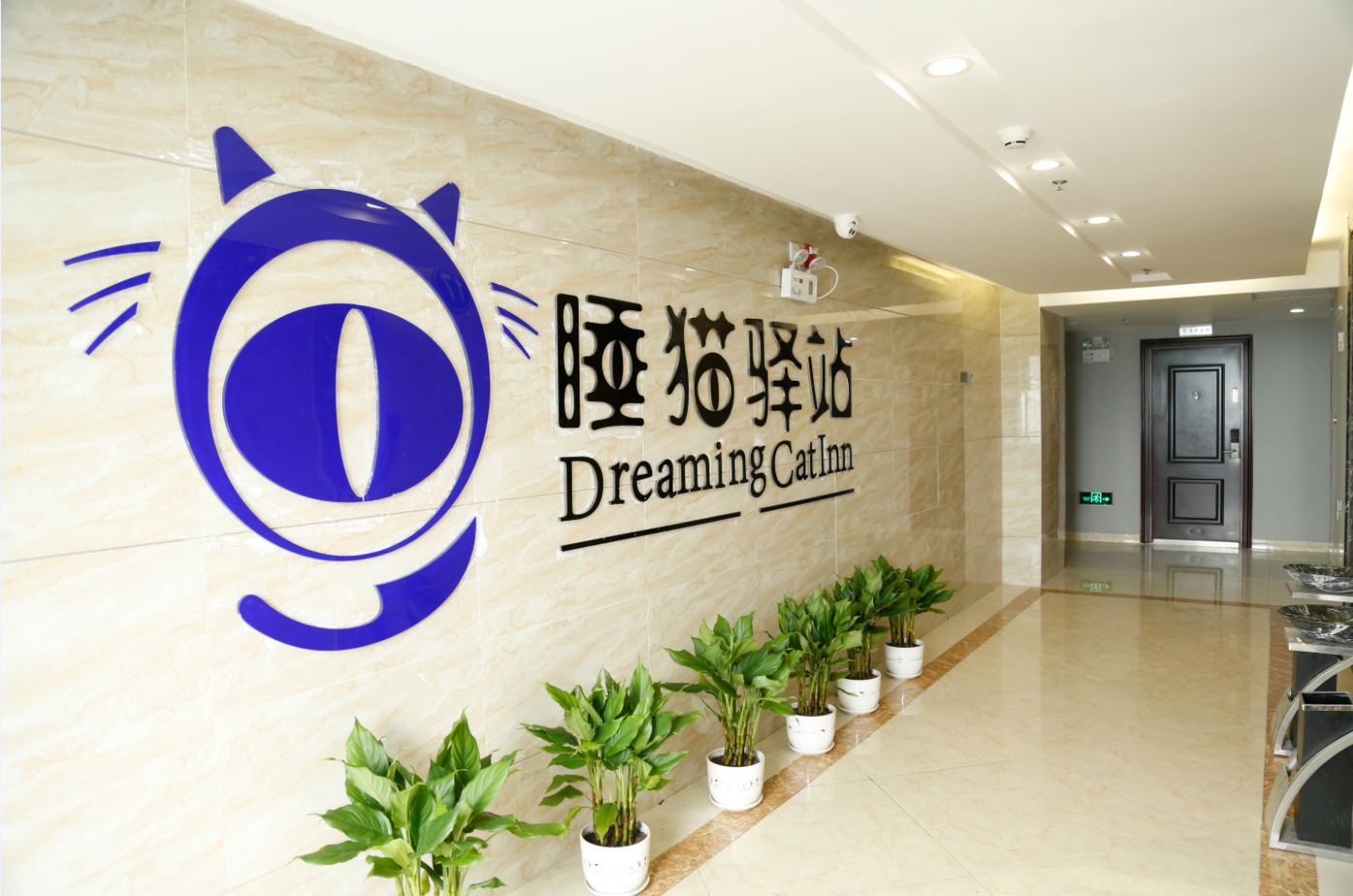 Others 3, Dreaming Cat Inn, Bengbu