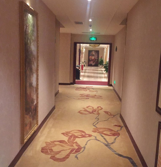 Others 3, Vienna Hotel (World Window Longjing Metro Station), Shenzhen
