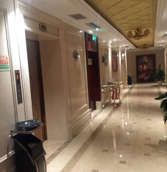 Others 4, Vienna Hotel (World Window Longjing Metro Station), Shenzhen