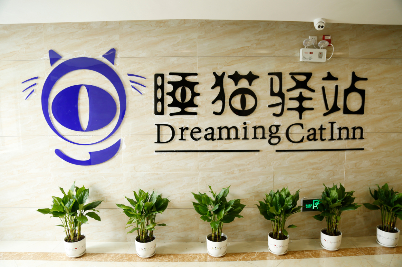 Others 5, Dreaming Cat Inn, Bengbu