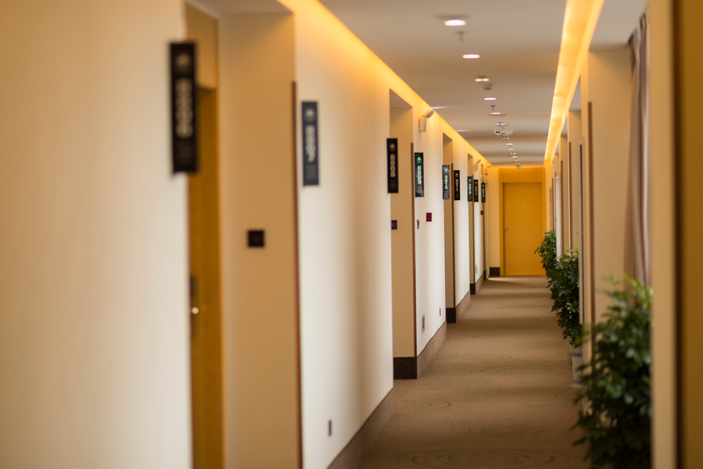 Others 3, GreenTree (Zhangjiagang Yangshe Old Street Stadium), Suzhou