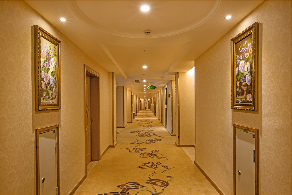 Others 4, Vienna International Hotel (Mount Wuyi Impression Dahongpao), Nanping