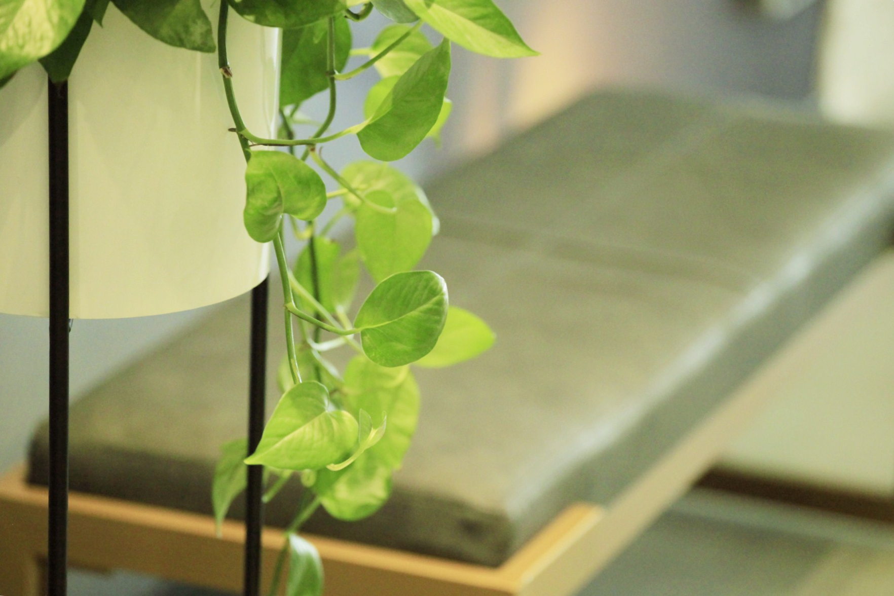 Bedroom 2, Lemon Tree Hotel, Suzhou