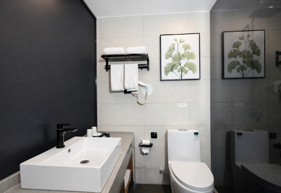 Others 3, GreenTree Hotel (Kuixing Road Fuyang high speed railway station), Fuyang