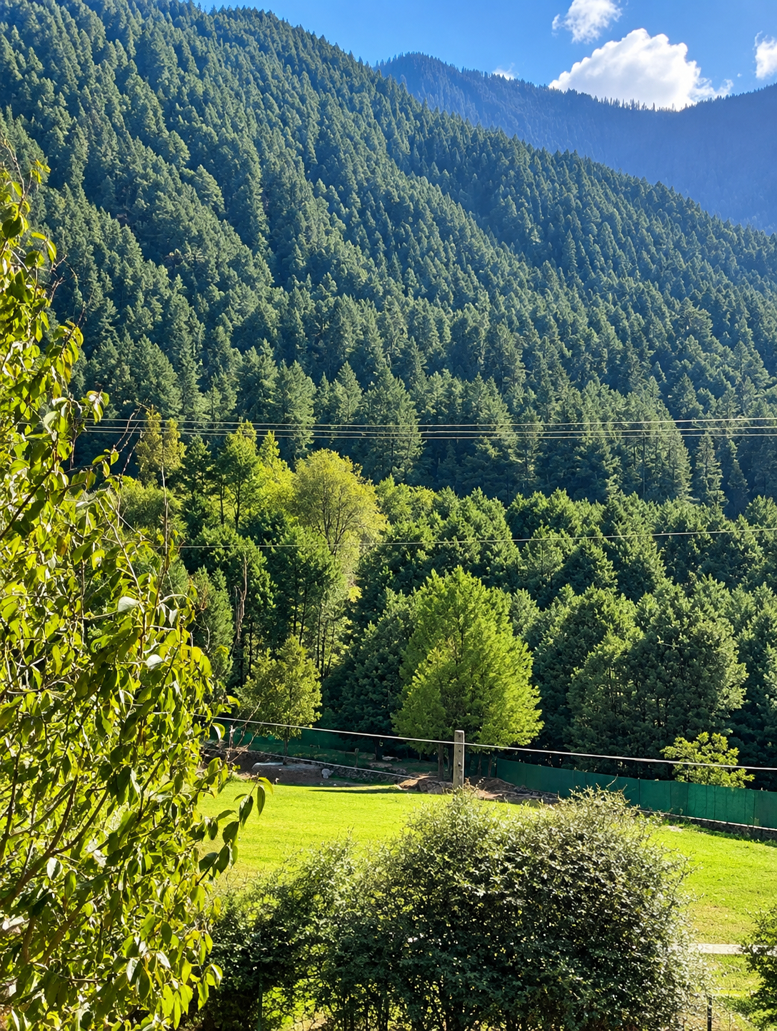 Others 5, Goroomgo Fiza Guest House Pahalgam, Anantnag