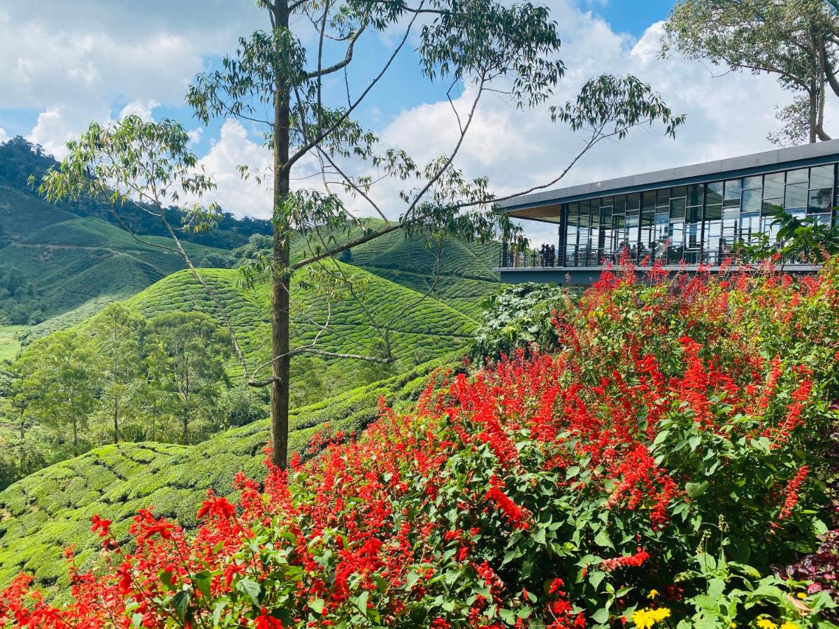 Exterior & Views, BRICKS Backpackers Sleepbox, Cameron Highlands