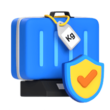 Extra assurance for your baggage from the possibility of damage, loss, or delay.